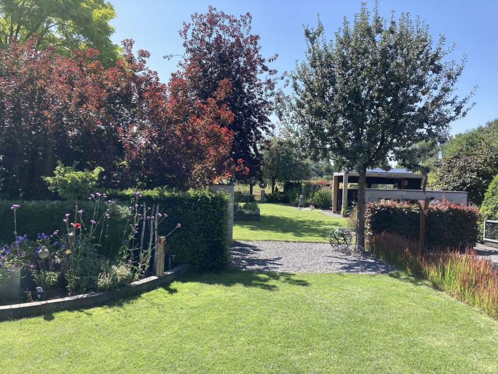 eigen tuin (7)